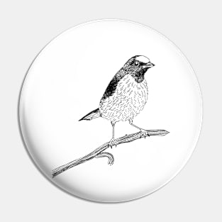 Euphonia Bird Pin