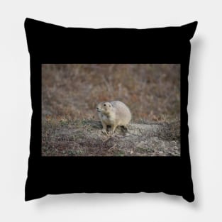 Wild Prairie Dog Pillow