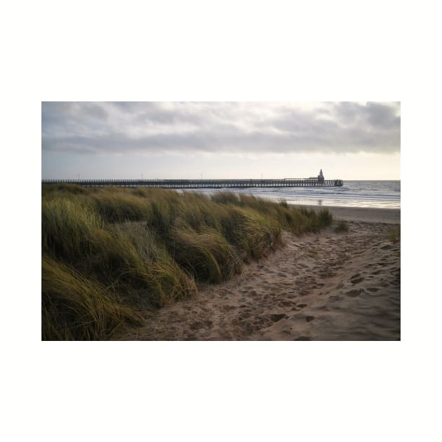 The path to the beach by Violaman