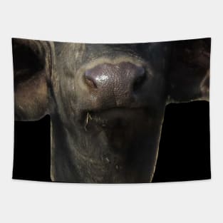 Water Buffalo Mouth Tapestry