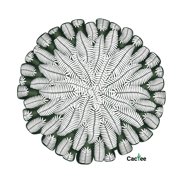 Pelecyphora Aselliformis by Cactee