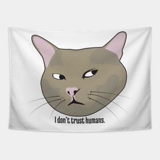 Funny cat quote Tapestry