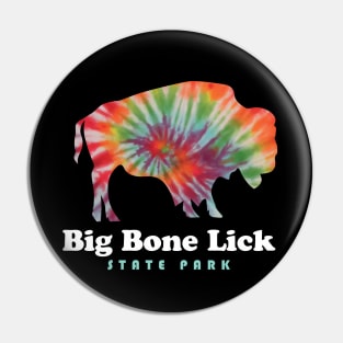 Big Bone Lick State Park Kentucky Bison Tie Dye Fossils Pin