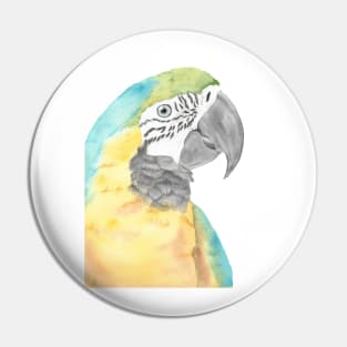 blue and gold macaw watercolor portrait bird parrot Pin