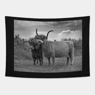 Highland Cows (2 of 2) Tapestry
