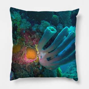 Red Sea Coral Reef Pillow