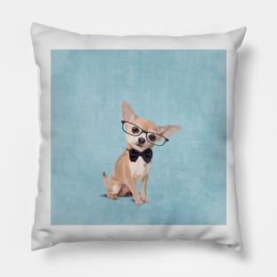 Mr Chihuahua Pillow