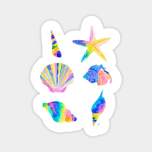 Seashells Pattern - Bright Rainbow Magnet