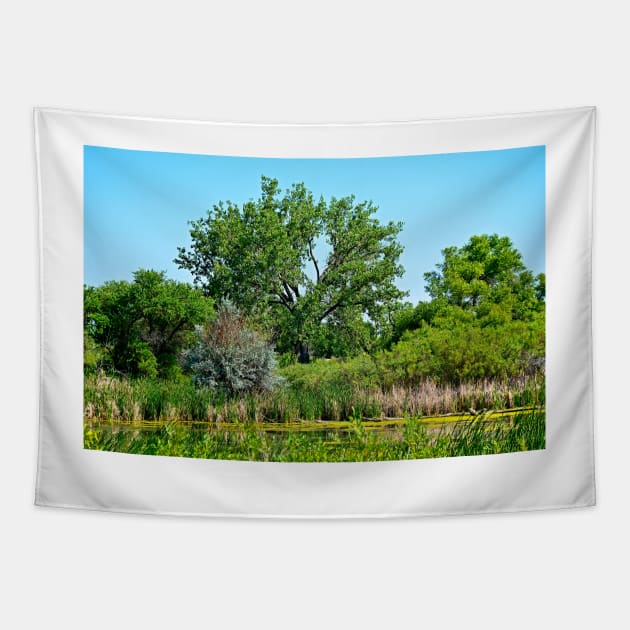 Pond on Cherry Creek Study 1 Tapestry by bobmeyers