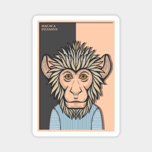 Barbary Macaque Monkey Magnet