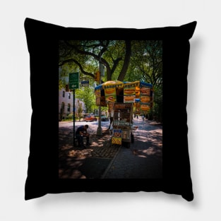 Fifth Ave Central Park Manhattan NYC Pillow