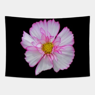 pink flower, blooms, flowers, petals, garden Tapestry