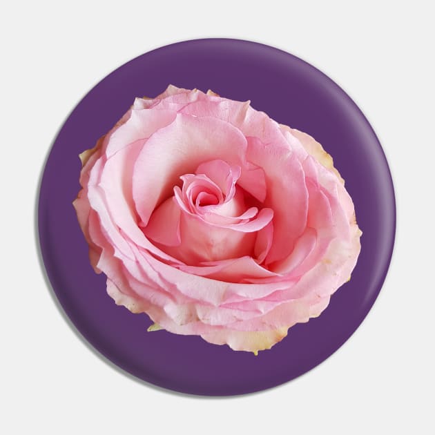 Pink Rose Floral Photo Cutout Pin by ellenhenryart