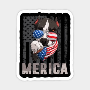 Merica pitbull 4th of July ,Funny 4th of July Lover Magnet