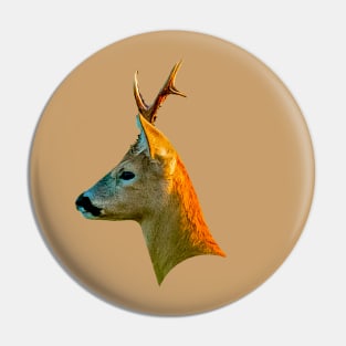 Roebuck Pin