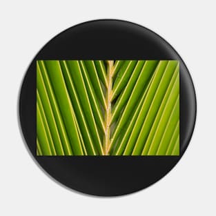 Palm frond. Pin