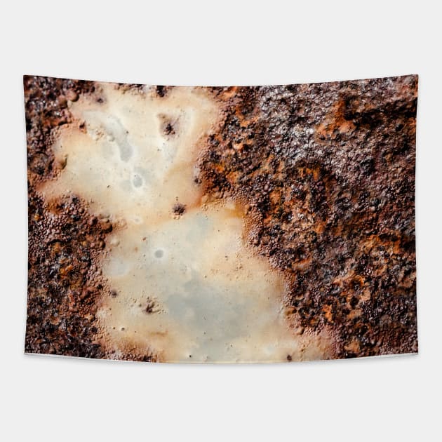 Cool brown rusty metal texture Tapestry by PLdesign