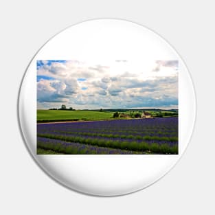 Lavender Field Purple Flowers Cotswolds UK Pin