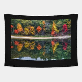 Walden Pond Fall Foliage Concord MA Reflection Tapestry