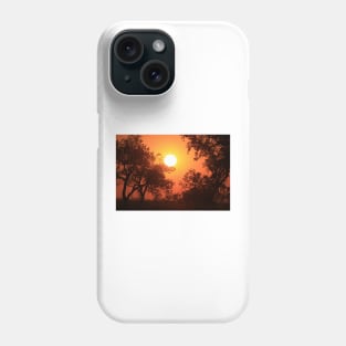 Blaze Orange Kansas Sunset with Tree silhouette's Phone Case