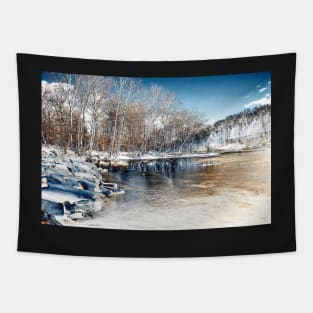 Winter In The Park - Infrared Tapestry