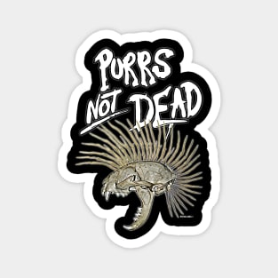 Cat's not dead Magnet