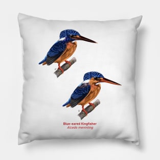 Blue-eared kingfisher | Alcedo meninting ⚥ Pillow