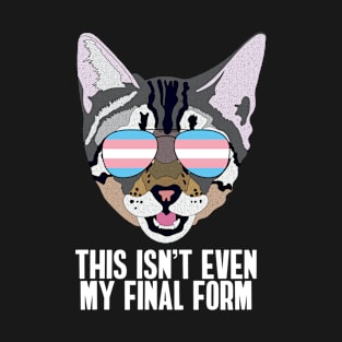 THIS ISN'T EVEN MY FINAL FORM - Cute Cat Sunglasses Trans Pride Flag T-Shirt