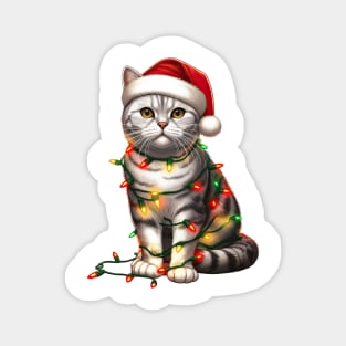 Christmas American Shorthair Cat Magnet