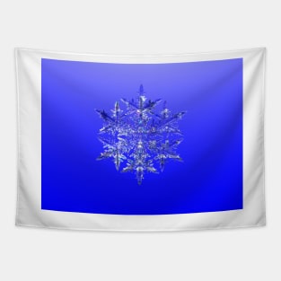 True Blue Fractal Snowflake Tapestry