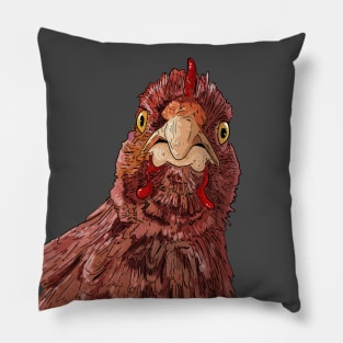 Chook Pillow