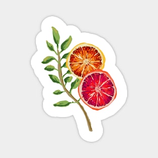 Mediterranean oranges III Magnet