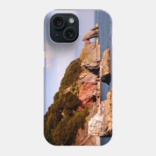 Arched Cliff Phone Case