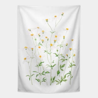 white black-jack flowers watercolor painting Tapestry