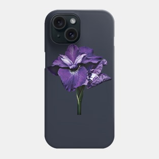 Irises - Iris Caesar Morgan Phone Case