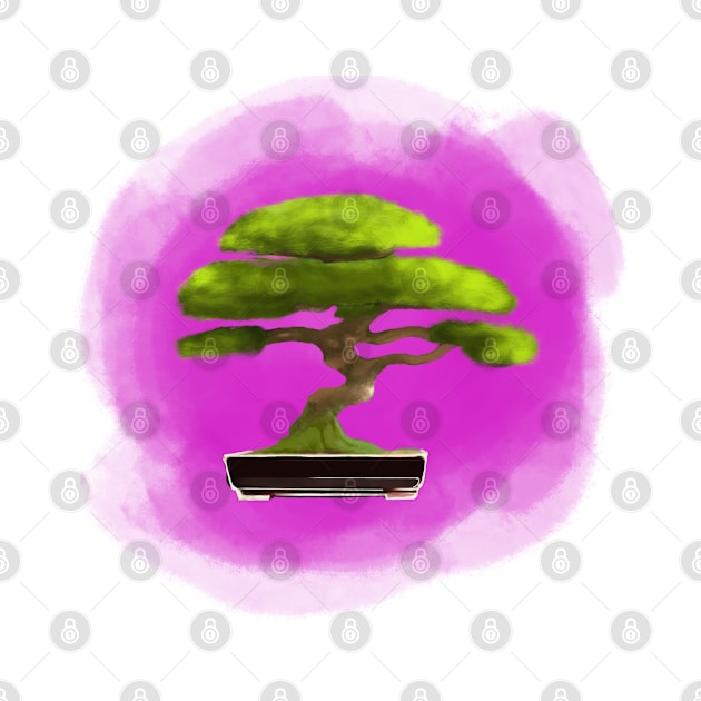 Bonsai by Stephanie Kennedy 