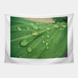 Green leaf covered by drops of water Tapestry