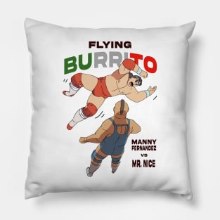 Flying Burrito Pillow