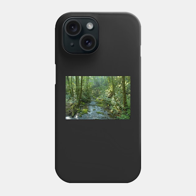 Cool forest stream Phone Case by dltphoto