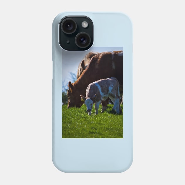 Put out to grass Phone Case by Violaman