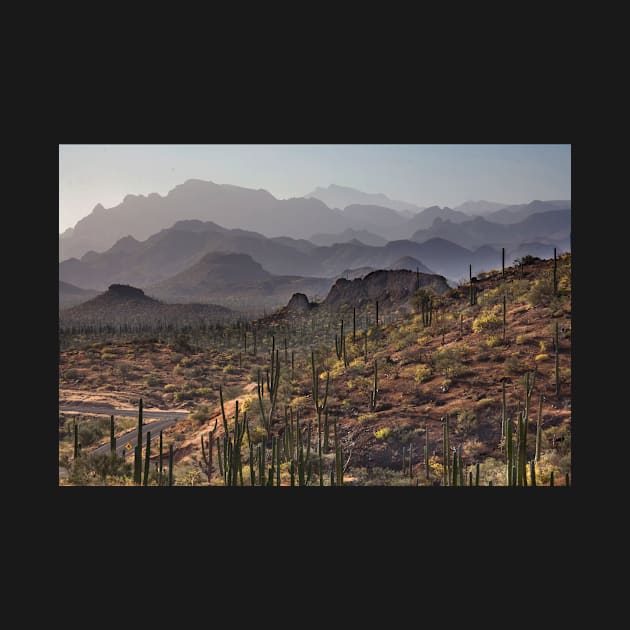 Baja California Mountain Ranges by dawn2dawn