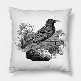 Victorian Starling Pillow