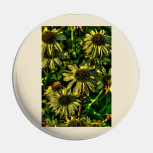 Yellow Echinacea Flowers Pin