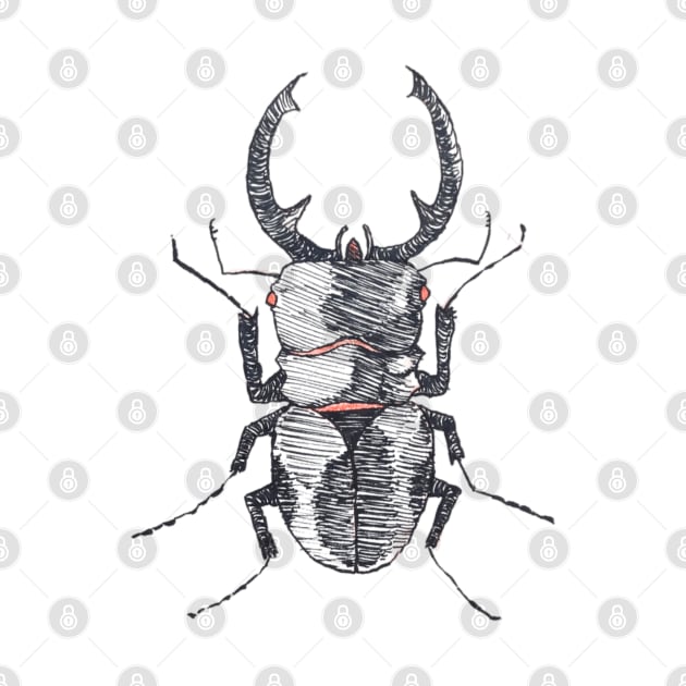 Stag Beetle by teufelberg