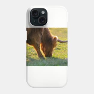 Longhorn Cattle Phone Case