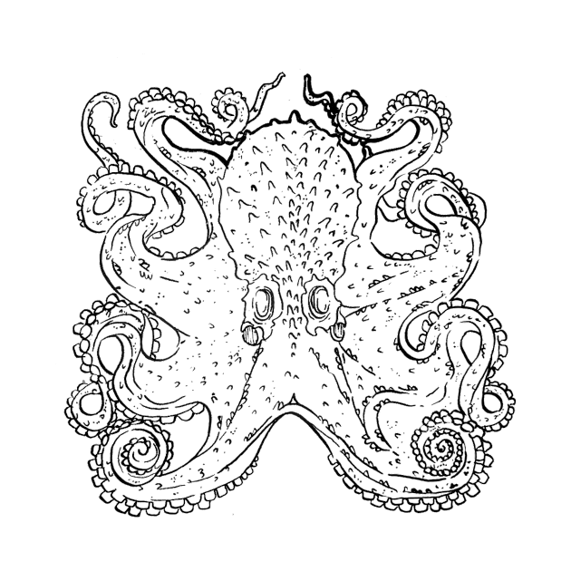 octopus by apokatastasis