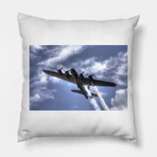 Sally B Pillow