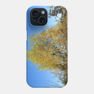 Autumn Leaves & Blue Skies Phone Case