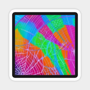 Rainbow Spiderwebs Magnet