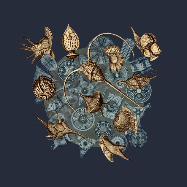 Ernst Haeckel Sepia Peridinea on Cerulean  Diatoms by Scientistudio